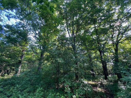 1295 East Superior Street, Isle, MN 56342