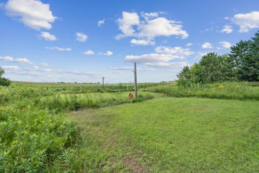 A great area for volleyball or an ice rink!
