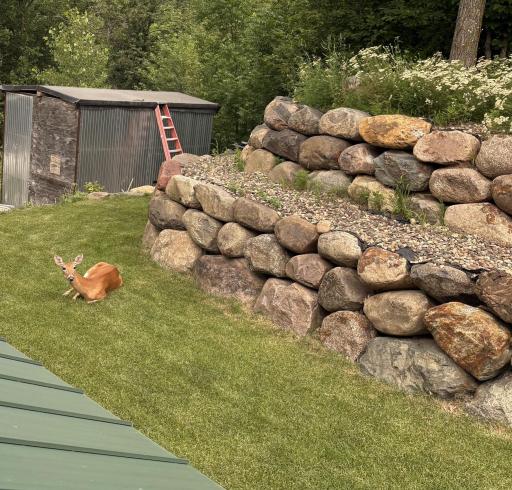 44076 County Road 127, Melrose, MN 56352