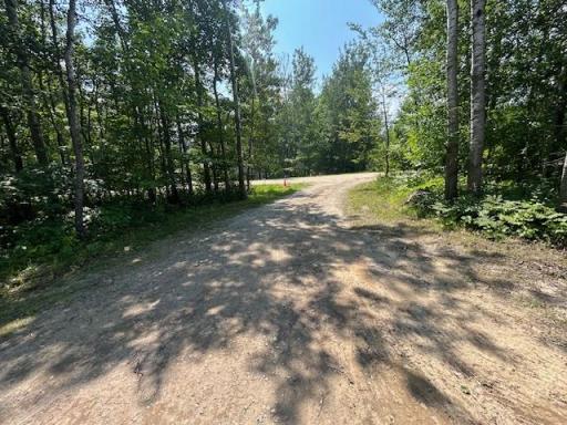 8372 Forest Acres Court NW, Walker, MN 56484