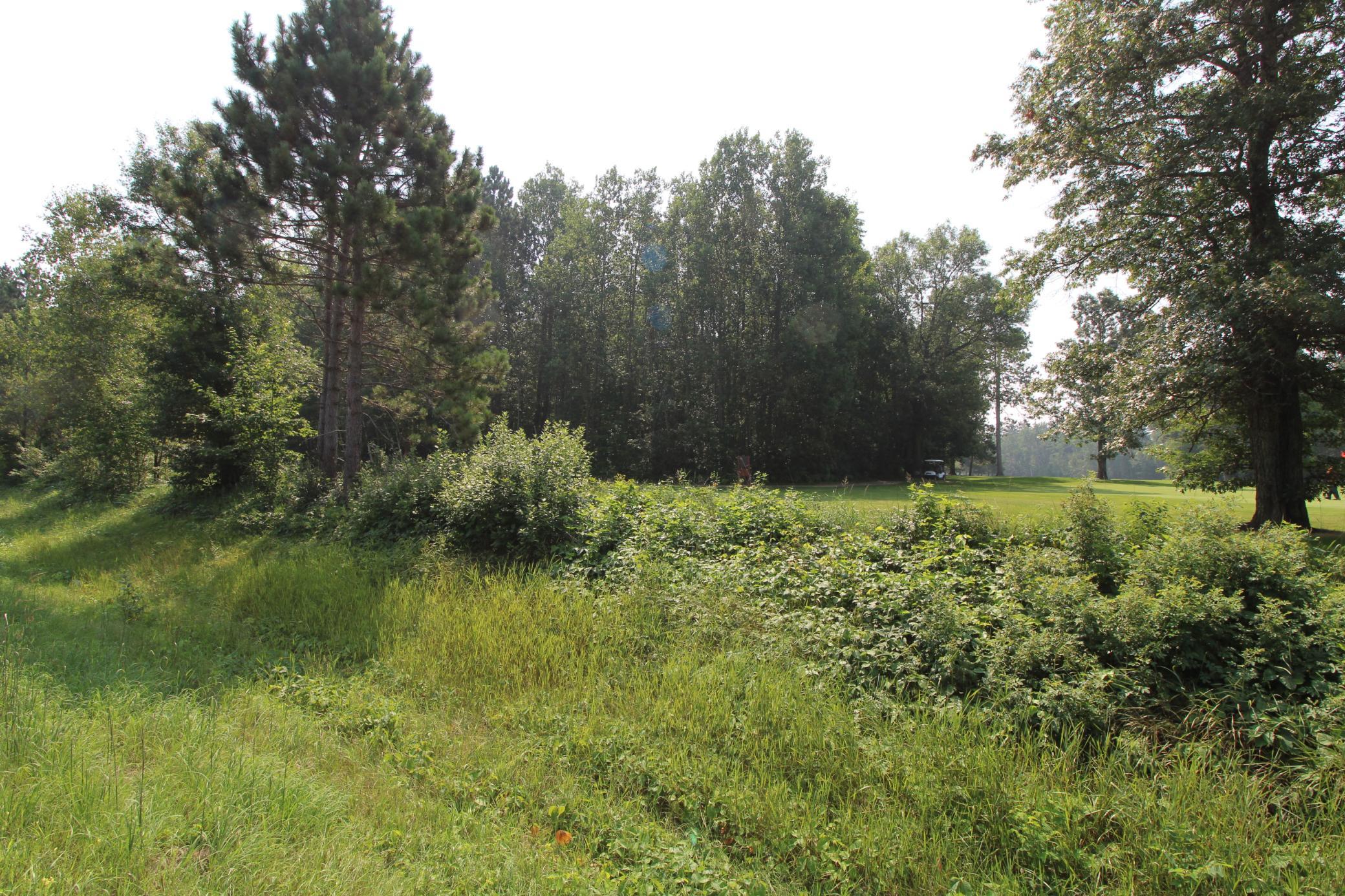 Tract B -17th Hole Green