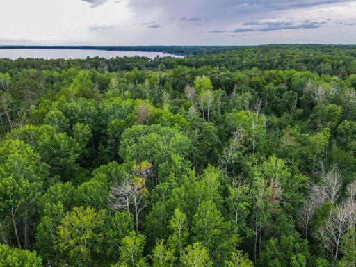Lots 15-21 Firewood Trail, Park Rapids, MN 56470