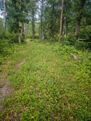 Lots 15-21 Firewood Trail, Park Rapids, MN 56470
