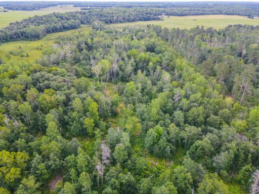 Lots 15-21 Firewood Trail, Park Rapids, MN 56470