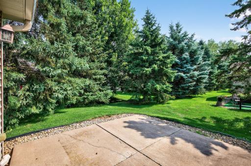 919 Evergreen Court, Saint Paul, MN 55127
