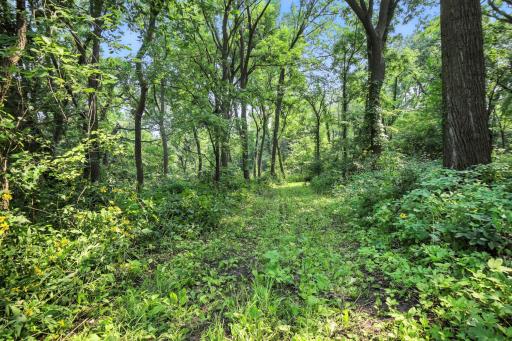 5603 NW 102nd Avenue, Waseca, MN 56093
