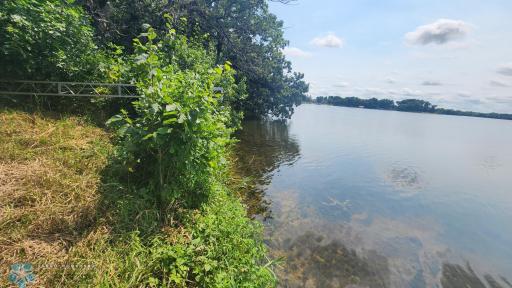 26773 Oak Point Road, Elbow Lake, MN 56531