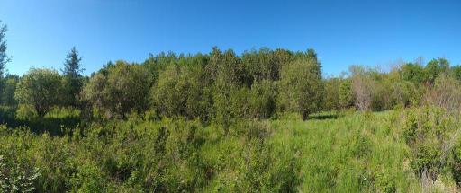 XXX North Road, Dairyland, WI 54830