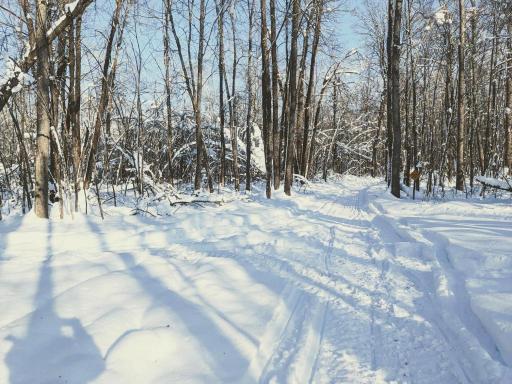 XXX North Road, Dairyland, WI 54830