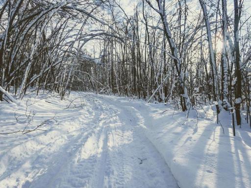 XXX North Road, Dairyland, WI 54830