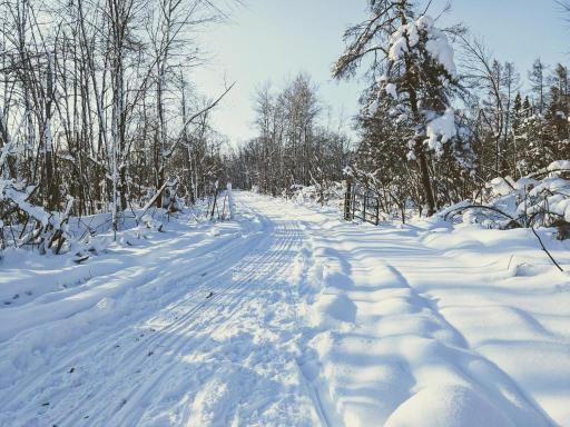XXX North Road, Dairyland, WI 54830