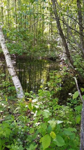 XXX North Road, Dairyland, WI 54830
