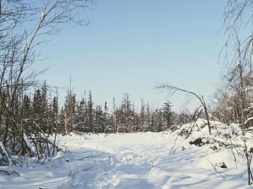XXX North Road, Dairyland, WI 54830