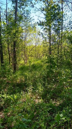XXX North Road, Dairyland, WI 54830