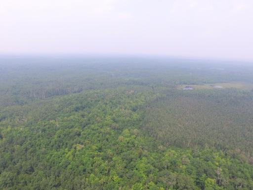 XXX North Road, Dairyland, WI 54830