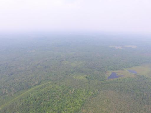 XXX North Road, Dairyland, WI 54830