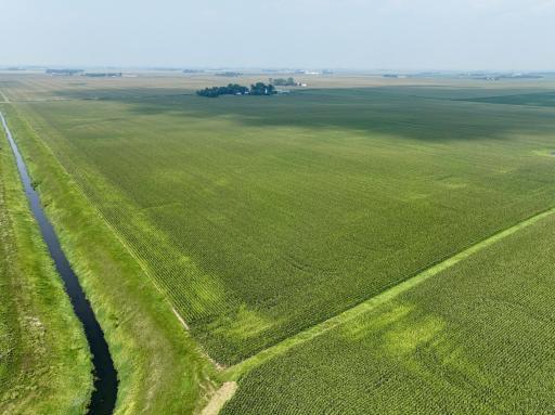 xxxx 810th Avenue, Olivia, MN 56277
