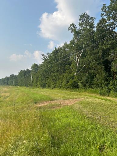 TBD Hwy 29, Parkers Prairie, MN 56361
