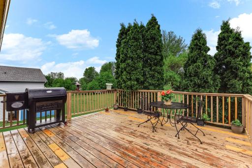 130 7th Street NW, Maple Lake, MN 55358