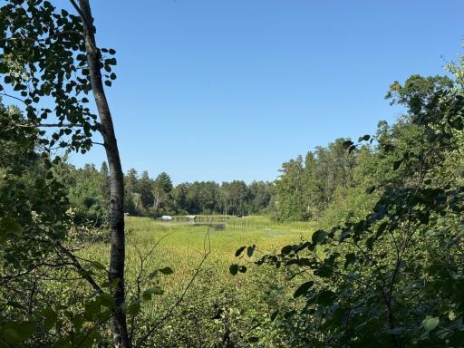 TBD Azalea Road, Pillager, MN 56473