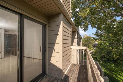 315 1/2 8th Street SE, Minneapolis, MN 55414