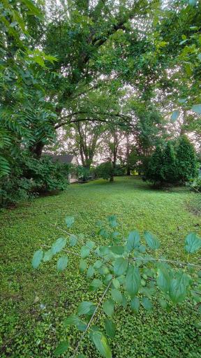 4673 Geneva Avenue N, Saint Paul, MN 55128