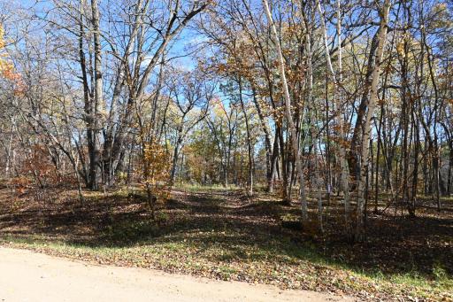39906 Pine Island Pt Drive, Browerville, MN 56438
