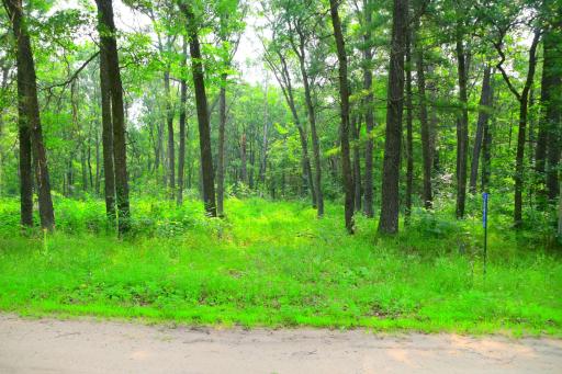 38970 Odin Court, Browerville, MN 56438