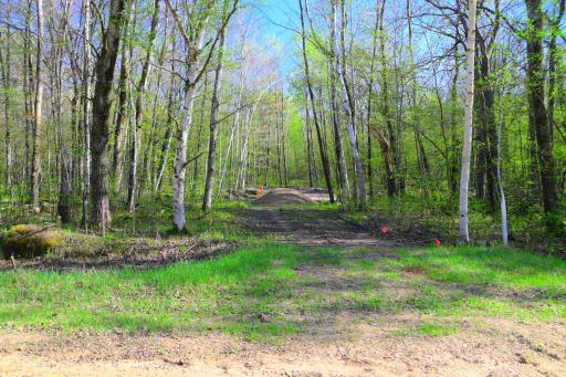 TBD Ode Circle, Browerville, MN 56438