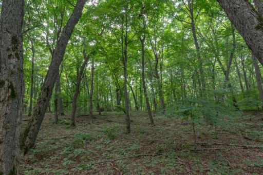 27804 Killian Road, Rochert, MN 56578