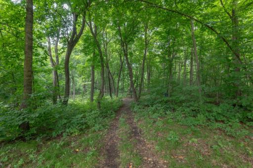 27804 Killian Road, Rochert, MN 56578