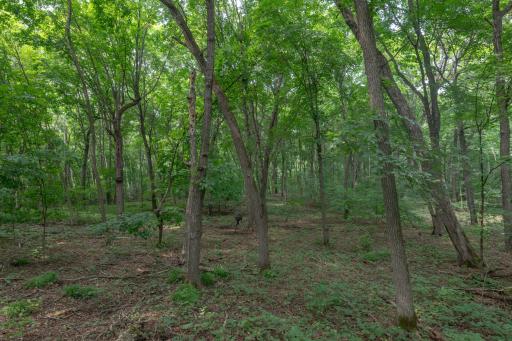 27804 Killian Road, Rochert, MN 56578