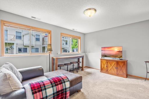 Lower level family room