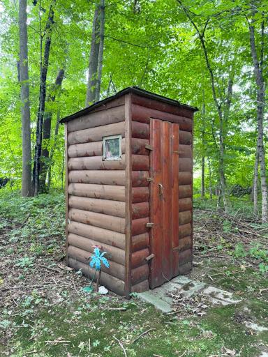 A shot of the old outhouse in the backyard.