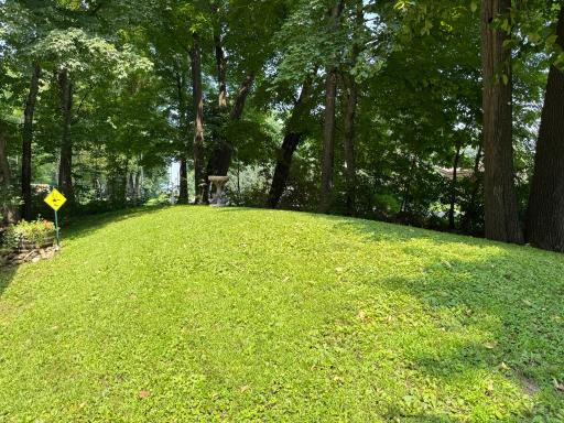 A shot of the septic mound, conveniently designed for 4 bedrooms for your future plans!