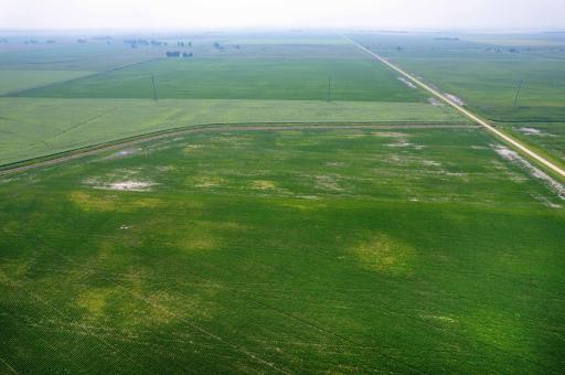 TBD 140th Street, Barnesville, MN 56514