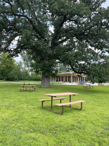 Plenty of pinic tables for family fun