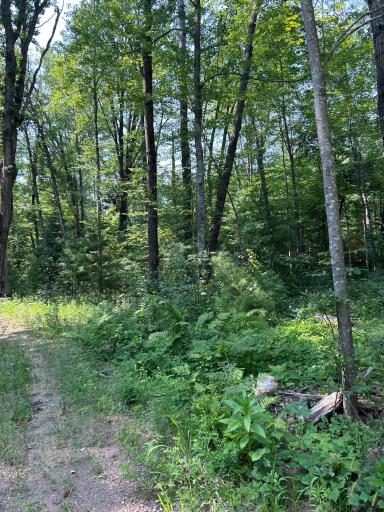26987 Marias Way, Webster, WI 54893