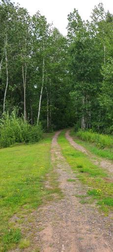 You will appreciate the winding driveway that provides absolute privacy.