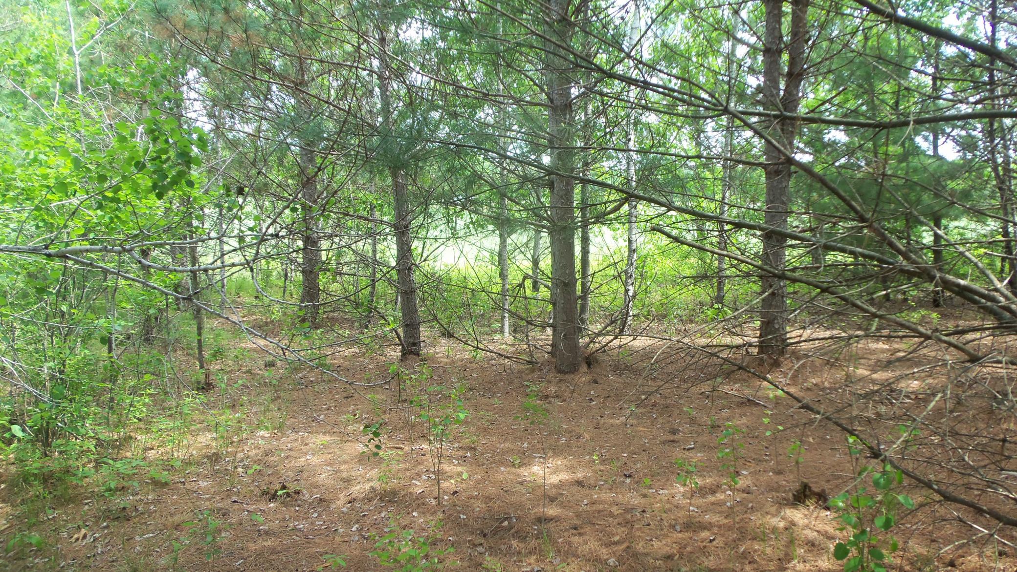 100_6005.JPG