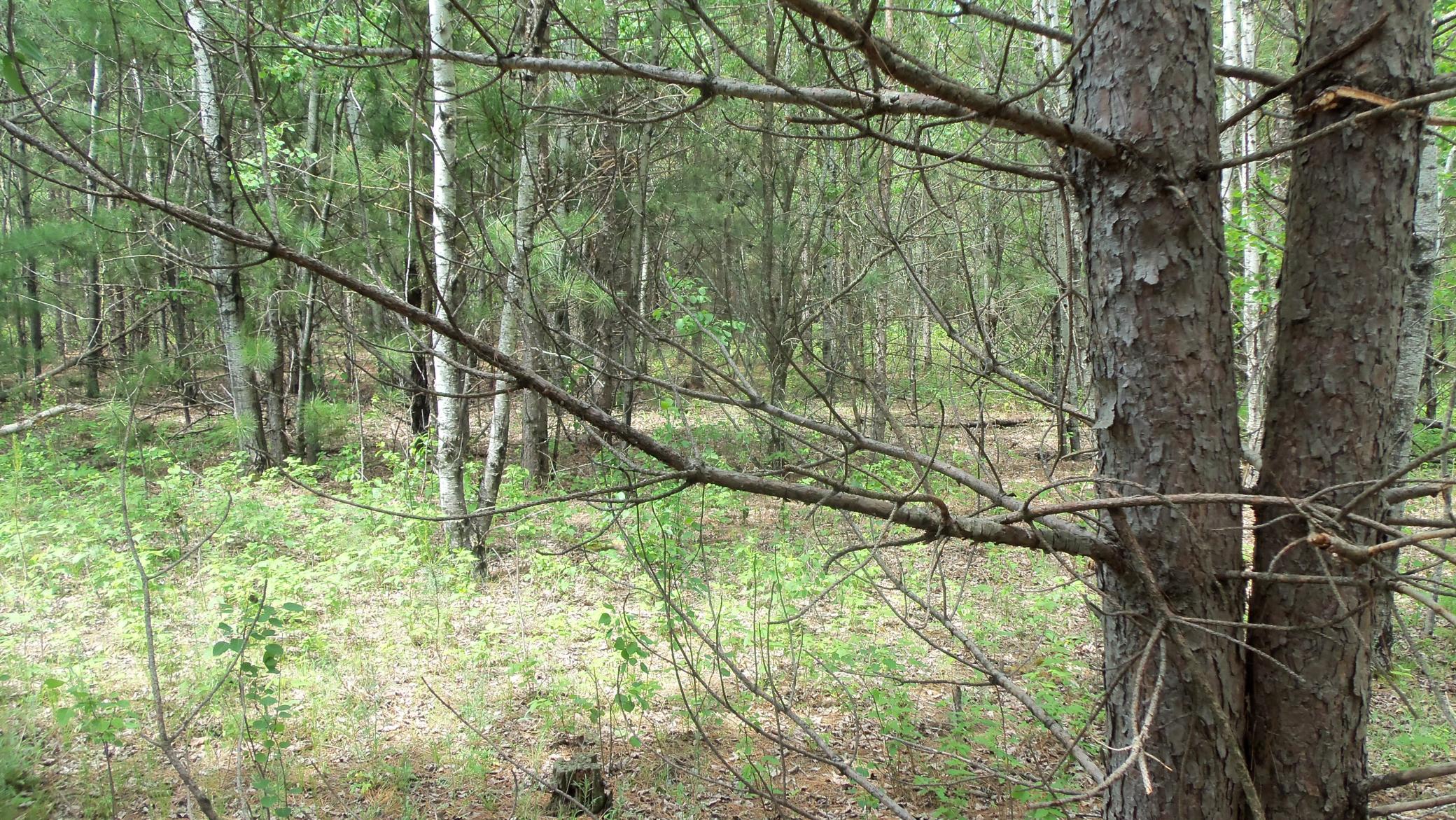100_6004.JPG