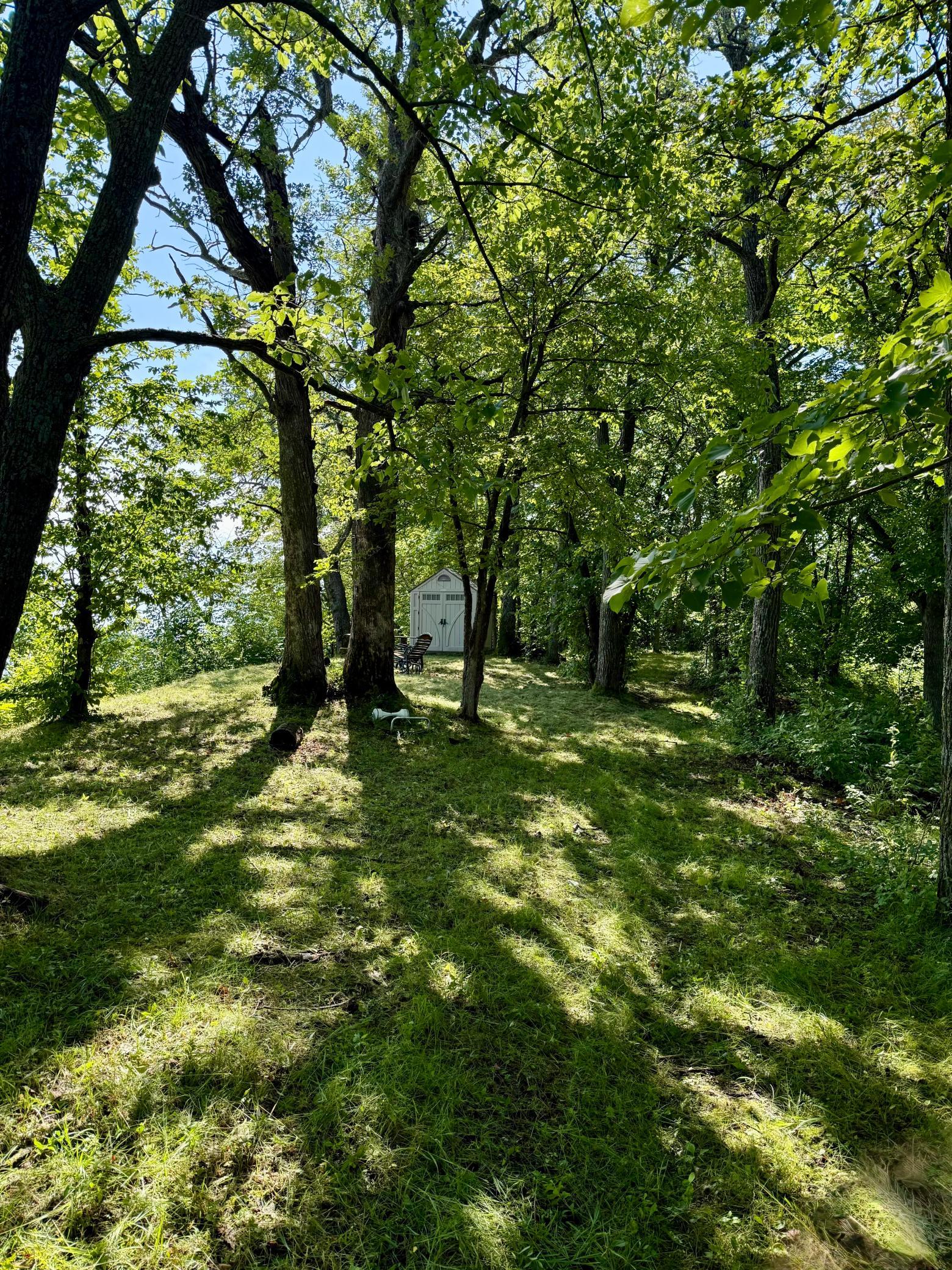 Fire pit & shed area by the lake