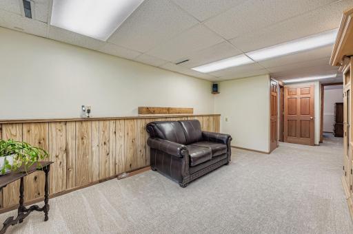 Lower level family room - neutral paint and carpet