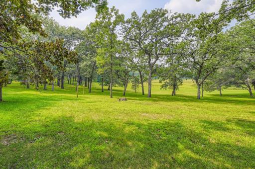 13209 Oakwood Road, Zimmerman, MN 55398