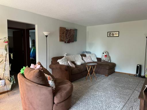 1409 Shakopee Avenue E, Shakopee, MN 55379