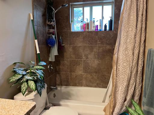 1409 Shakopee Avenue E, Shakopee, MN 55379