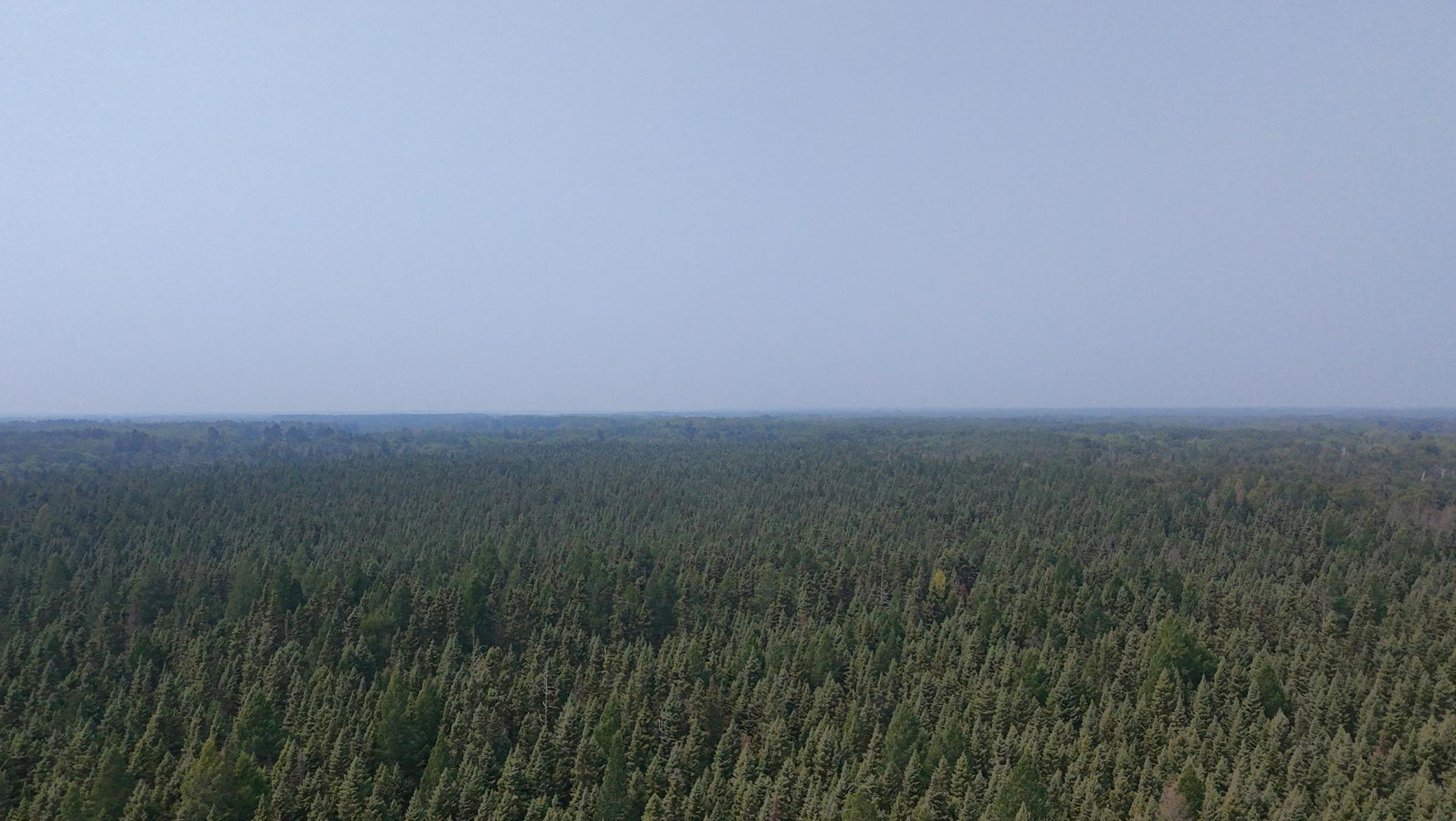 dji_fly_20250801_125740_0084_1754071337372_photo.jpeg