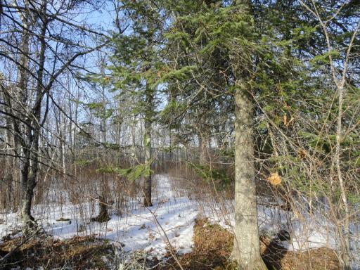 6157 Voyaguers Trail, Biwabik, MN 55708