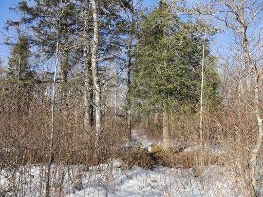 6157 Voyaguers Trail, Biwabik, MN 55708
