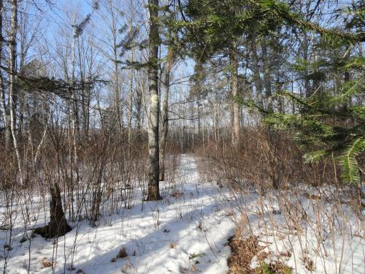 6157 Voyaguers Trail, Biwabik, MN 55708